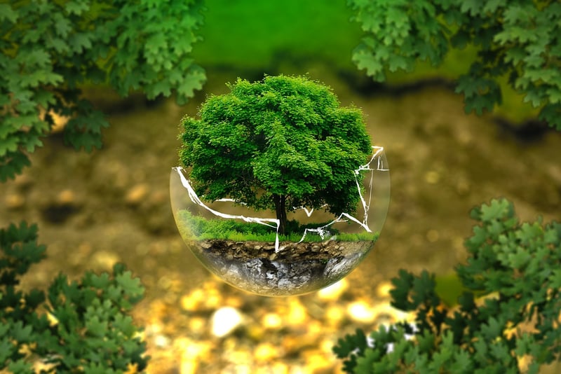 Environmental Scientist